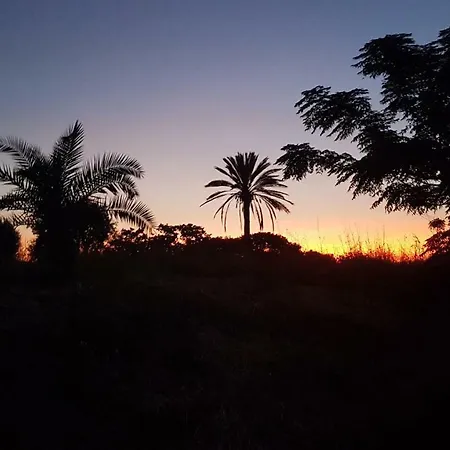 Eftihia 아파트호텔 코스 타운