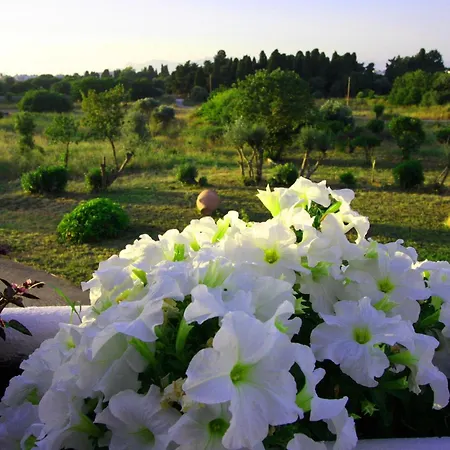 艾福丽奥公寓式酒店 科斯镇